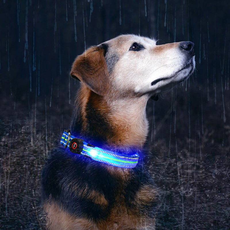 Red glow dog collar showing 5-9 hour battery life specifications