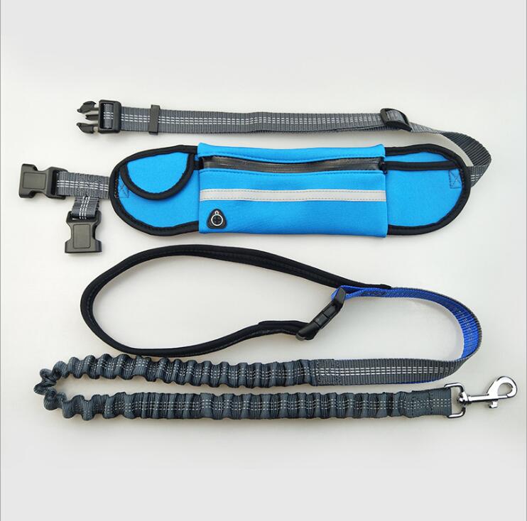 Dog running leash with shock-absorbing bungee extended on trail
