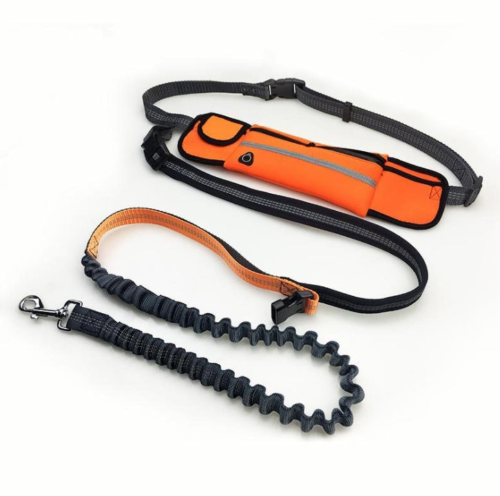 Adjustable waist belt with 3-compartment waterproof pouch for dog running leash
