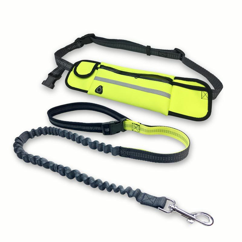 Hands-free bungee dog leash with reflective stitching in orange
