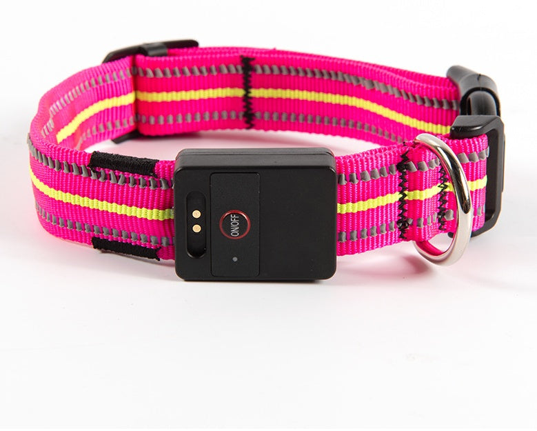 Green LED dog safety collar glowing on trail at night