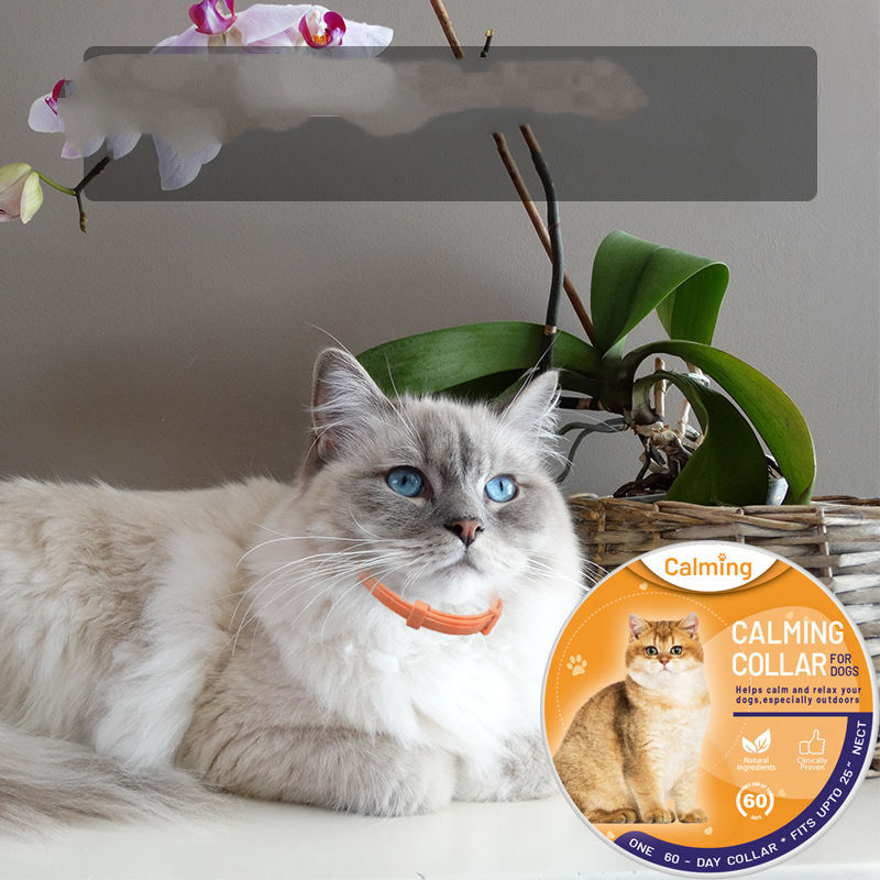 Purple calming collar for dogs and cats for trail anxiety relief