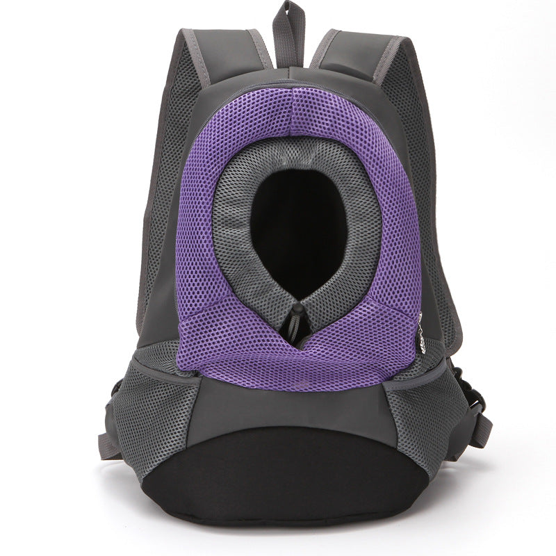Small dog sitting inside trail backpack carrier with head out