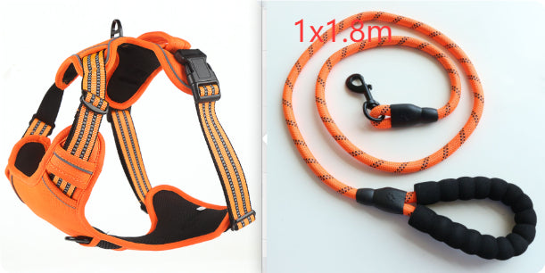 Orange reflective dog harness studio photo