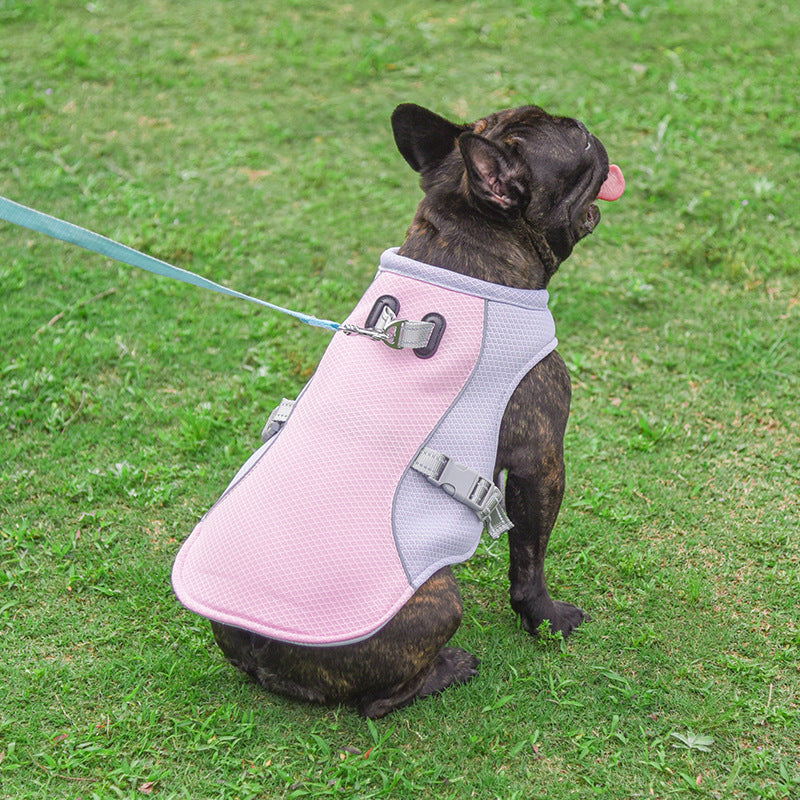 Dog wearing orange evaporative cooling jacket on sunny trail