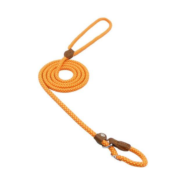 Nylon dog collar and leash set color options blue red orange green