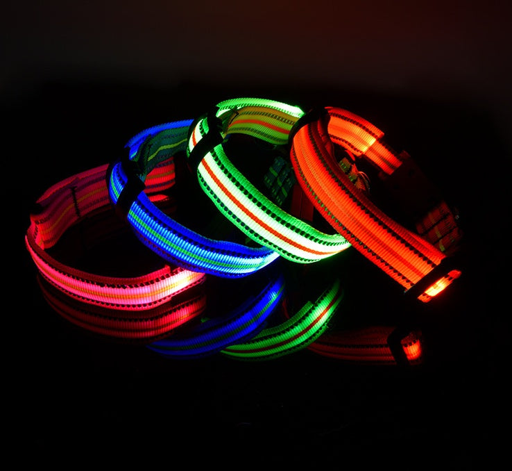 Blue LED rechargeable dog collar with waterproof magnetic charging design