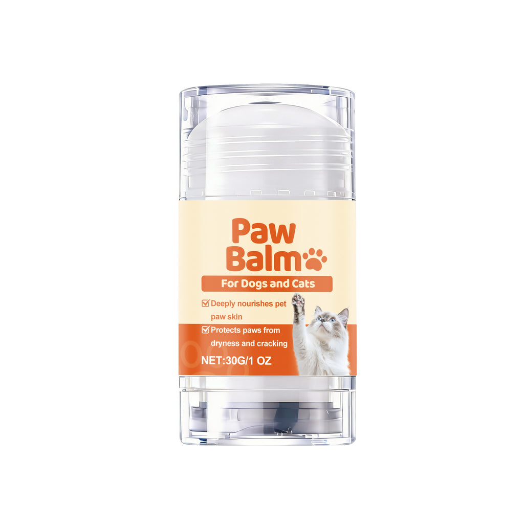 Applying TrailPaws paw balm to dog paw pad after hiking
