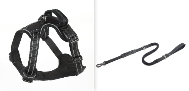 Black reflective dog harness with bungee leash attachment